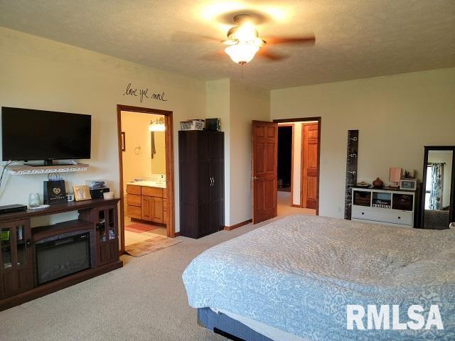 2474 North Reed Station Road Carbondale, IL 62901 - Photo 9 of 56 Gallery Image 9