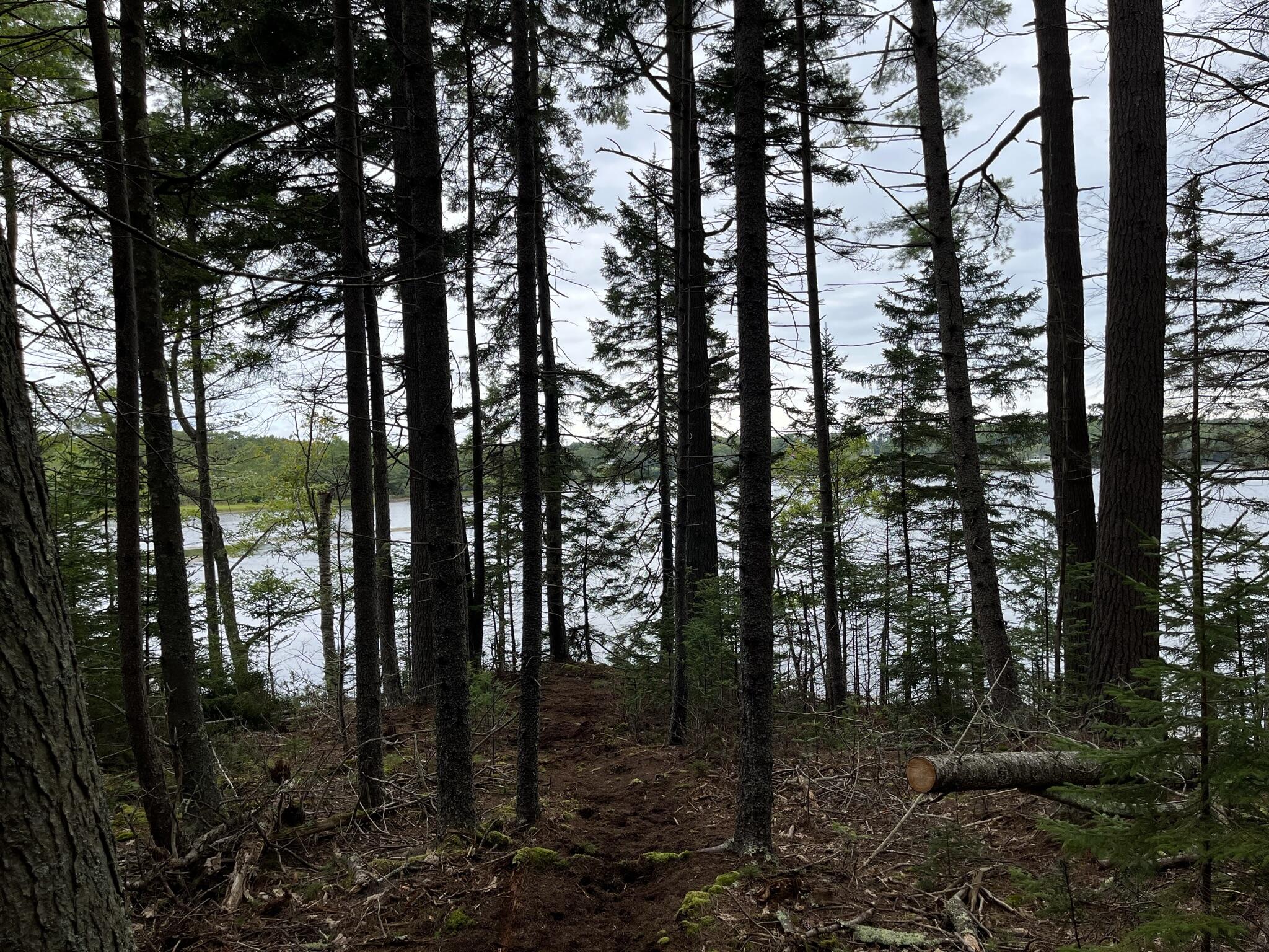 44-4 Windrush Lane Boothbay, ME 04537 - Photo 11 of 11 IMG_9563