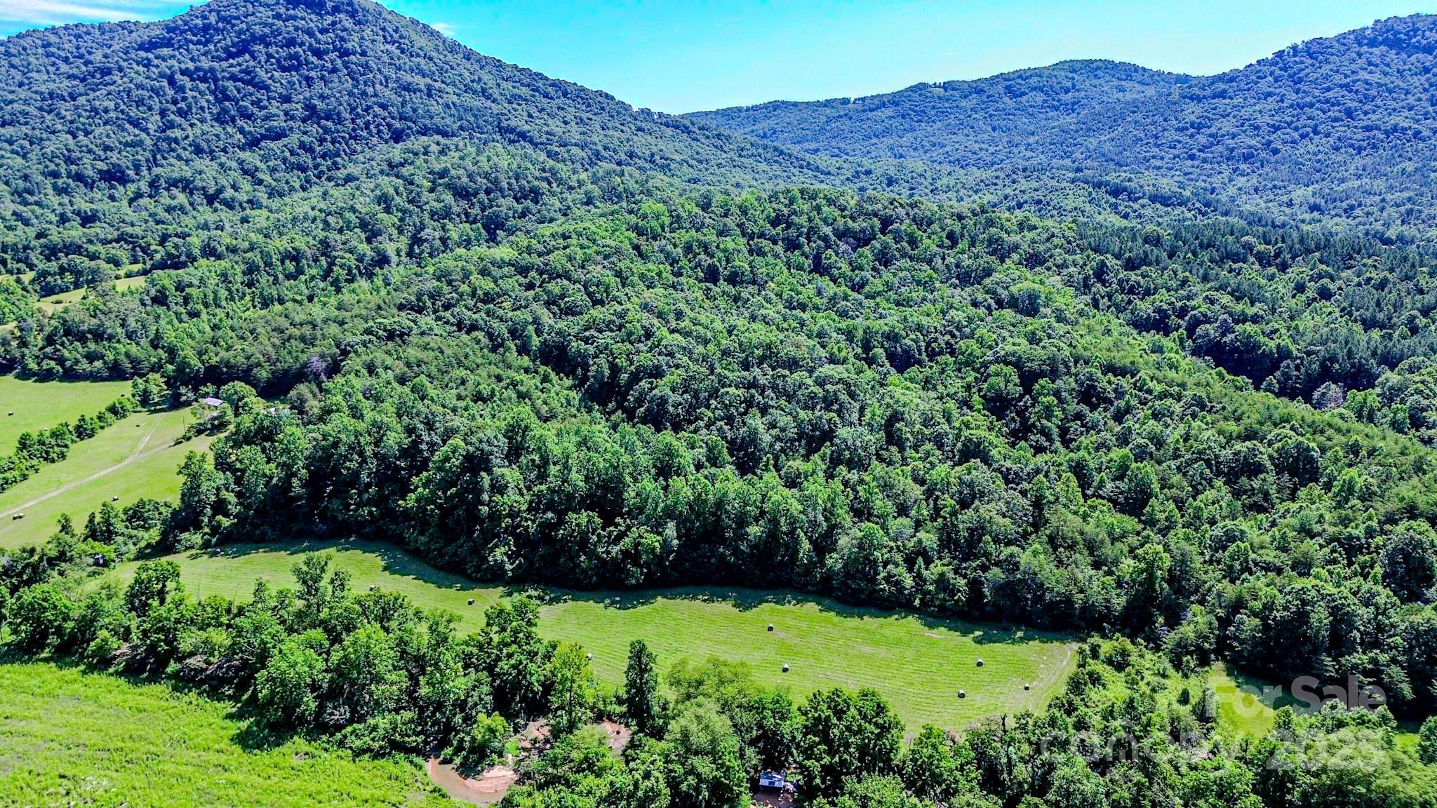 0 Cane Creek Road Union Mills, NC 28167 - Photo 12 of 25 a view of a lush green hillside and a house