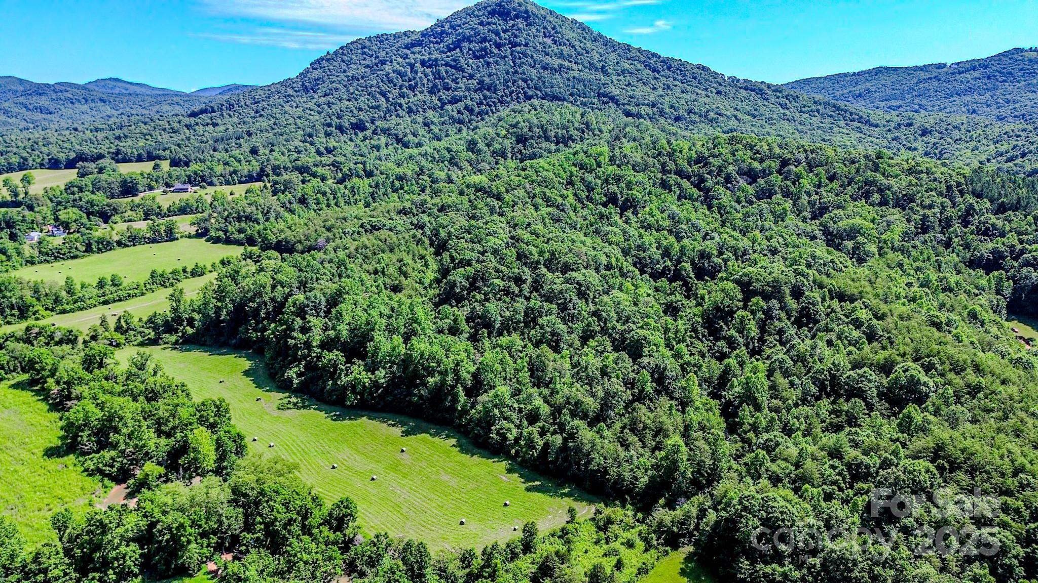 0 Cane Creek Road Union Mills, NC 28167 - Photo 13 of 25 an aerial view of a house with a lush green hillside