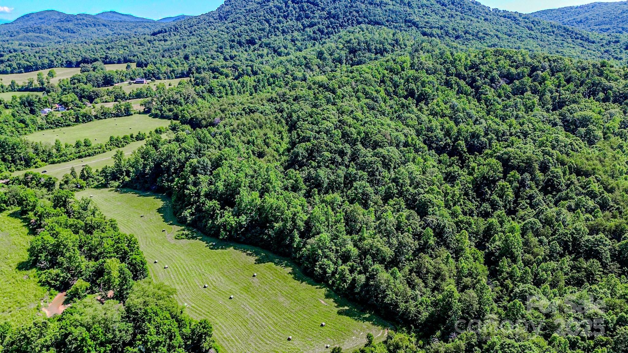 0 Cane Creek Road Union Mills, NC 28167 - Photo 14 of 25 a view of a lush green forest with lots of trees