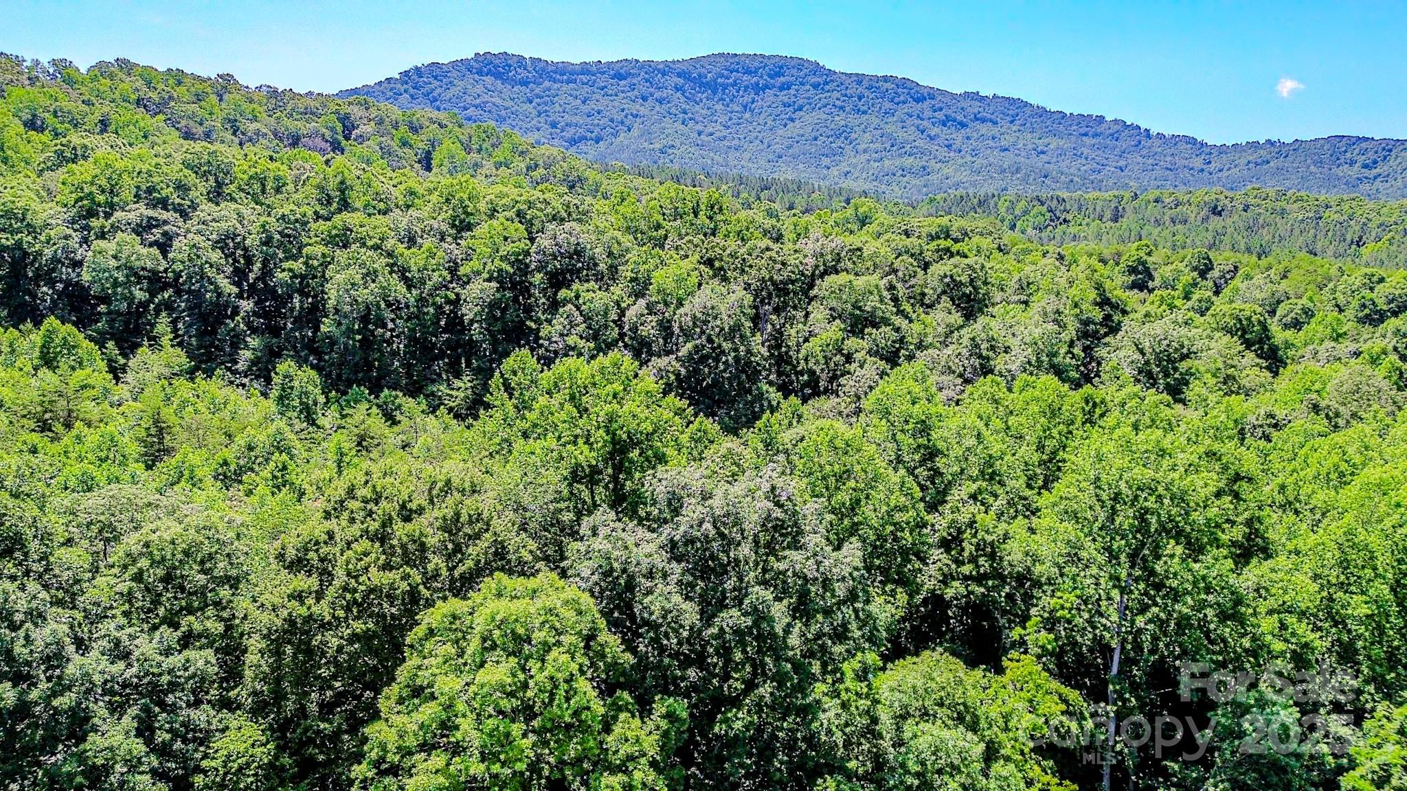 0 Cane Creek Road Union Mills, NC 28167 - Photo 17 of 25 a view of a lush green hillside and a houses