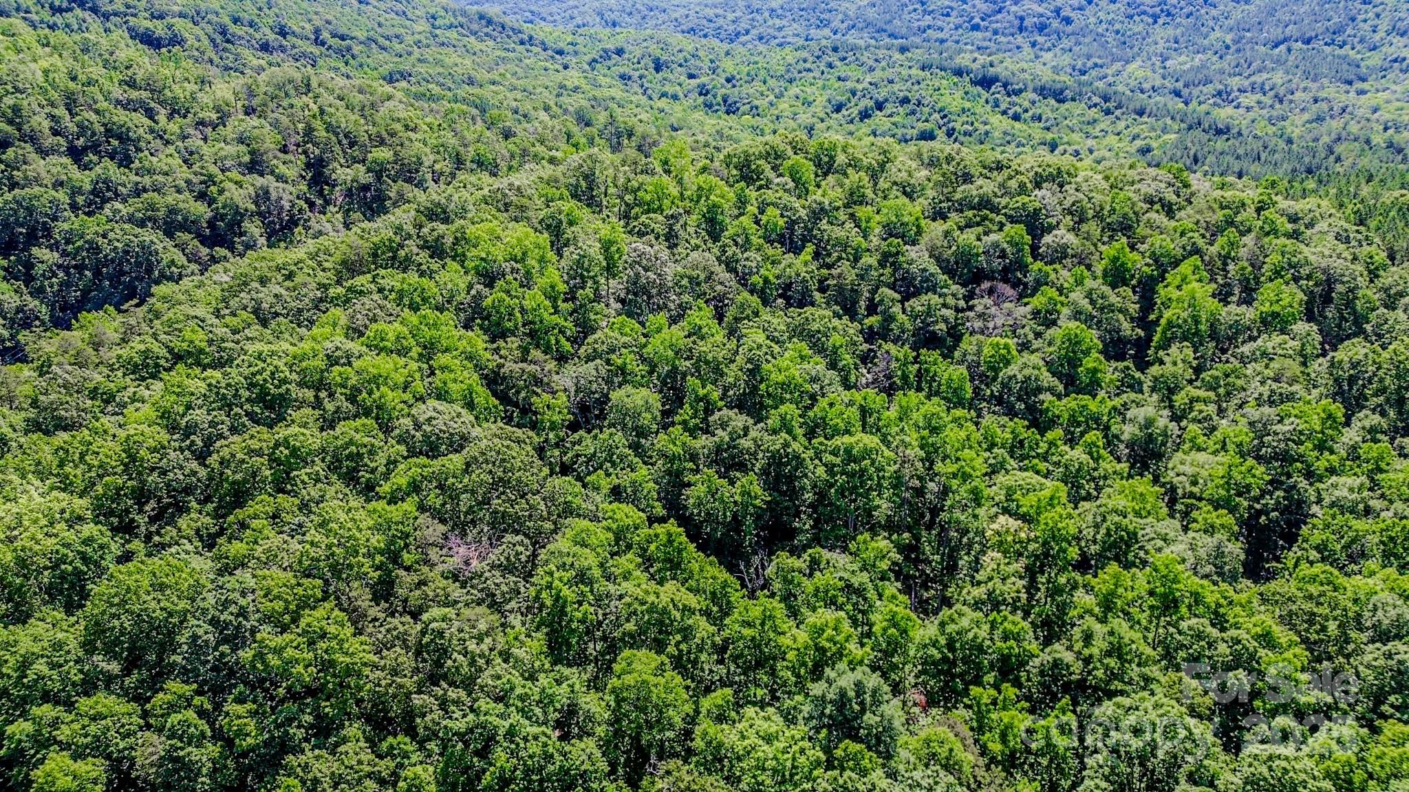 0 Cane Creek Road Union Mills, NC 28167 - Photo 18 of 25 with green field