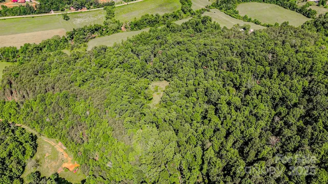 a view of a lush green field