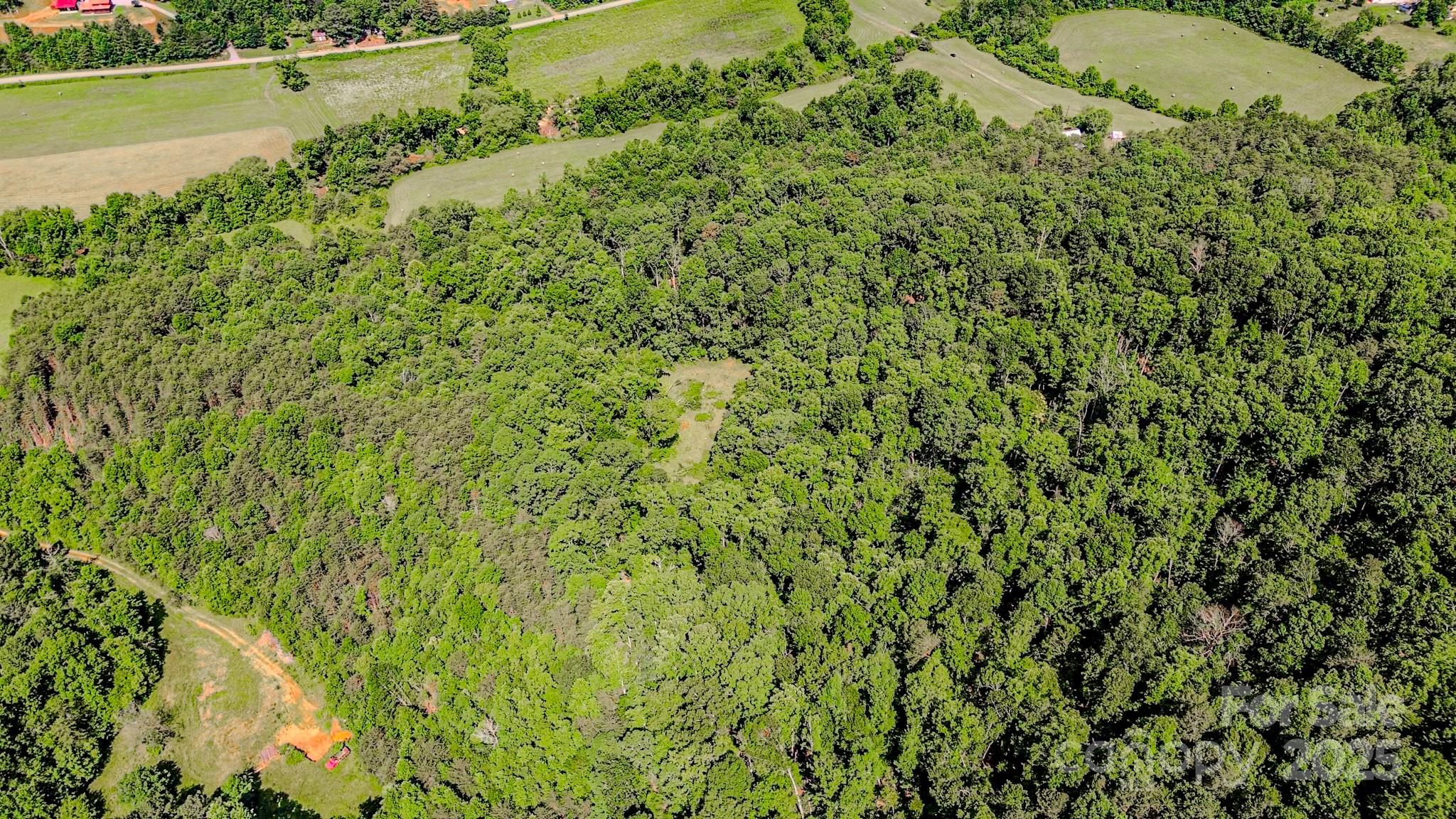 0 Cane Creek Road Union Mills, NC 28167 - Photo 19 of 25 a view of a lake with a park