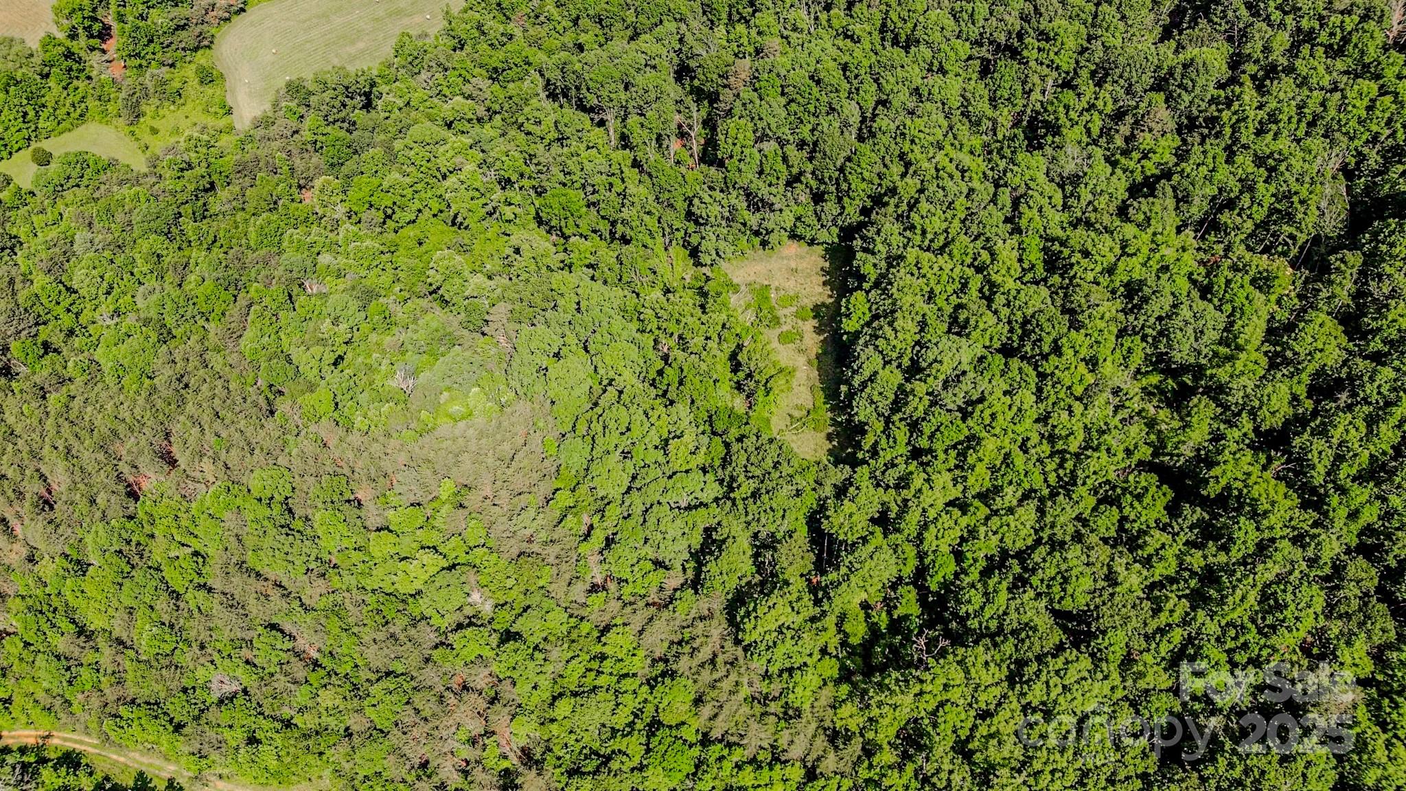 0 Cane Creek Road Union Mills, NC 28167 - Photo 20 of 25 a view of a lush green field