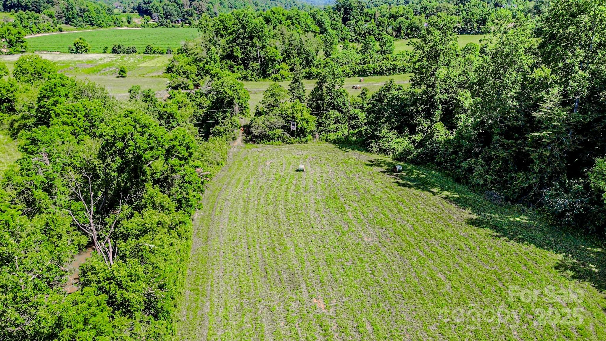 0 Cane Creek Road Union Mills, NC 28167 - Photo 2 of 25 a view of a garden