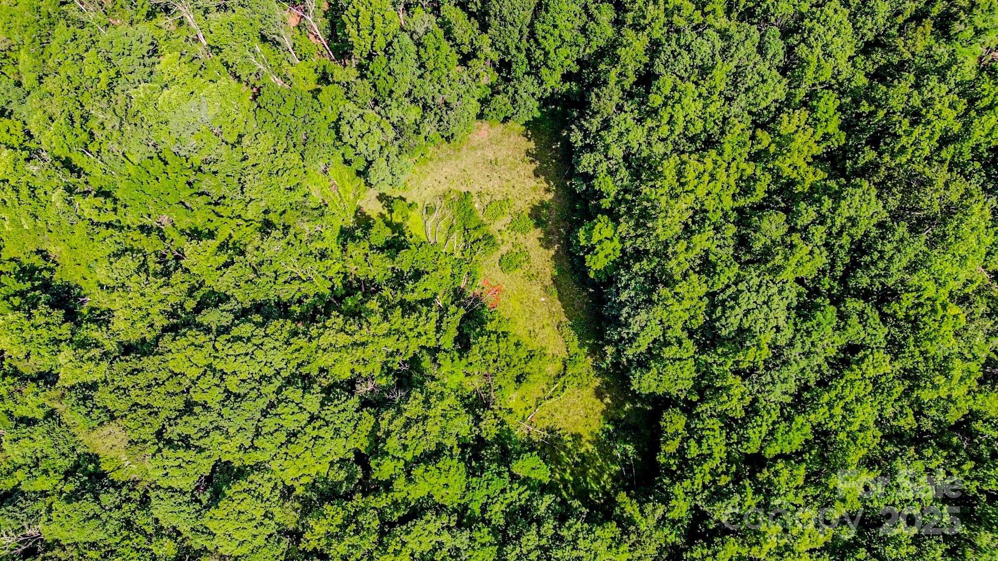 0 Cane Creek Road Union Mills, NC 28167 - Photo 21 of 25 a view of a lush green field