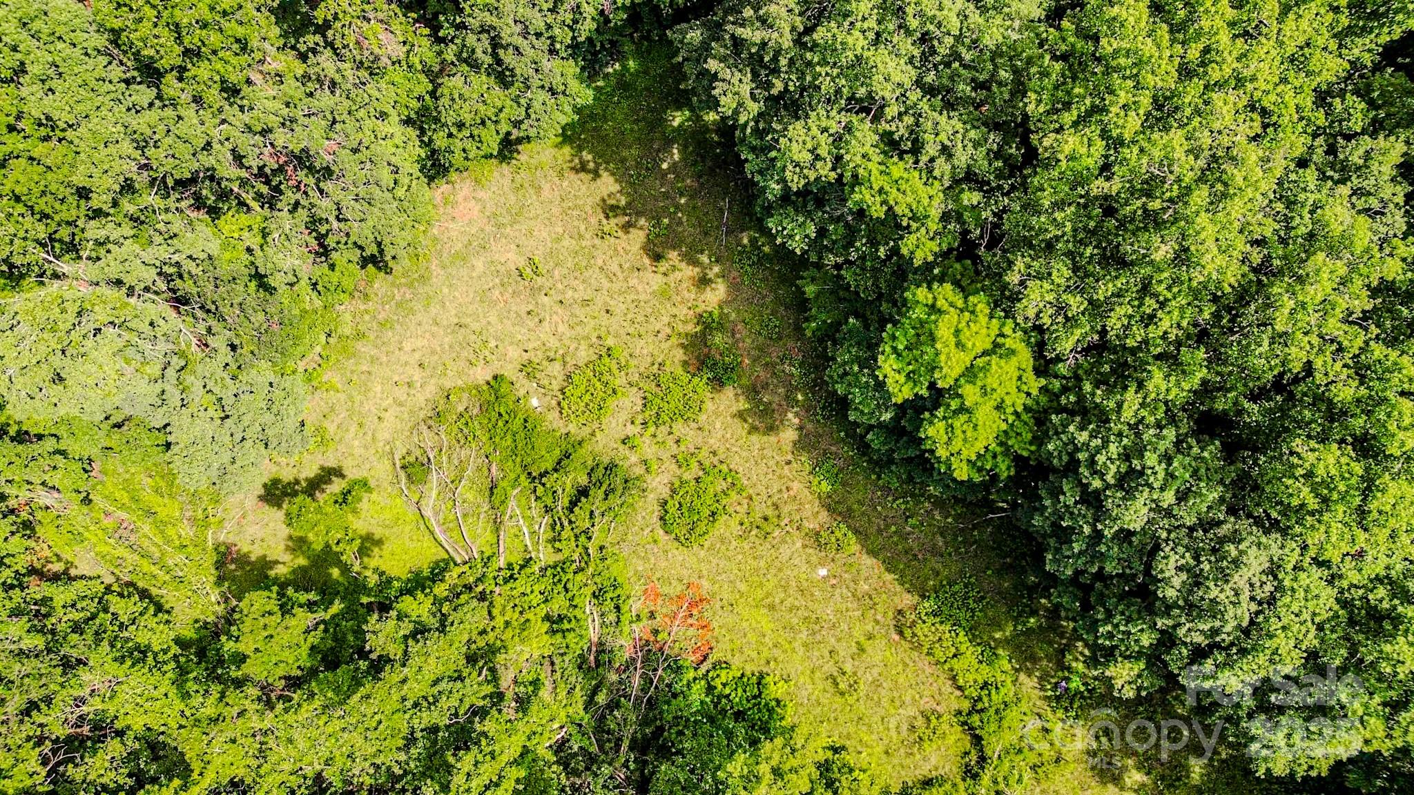 0 Cane Creek Road Union Mills, NC 28167 - Photo 22 of 25 a view of a yard