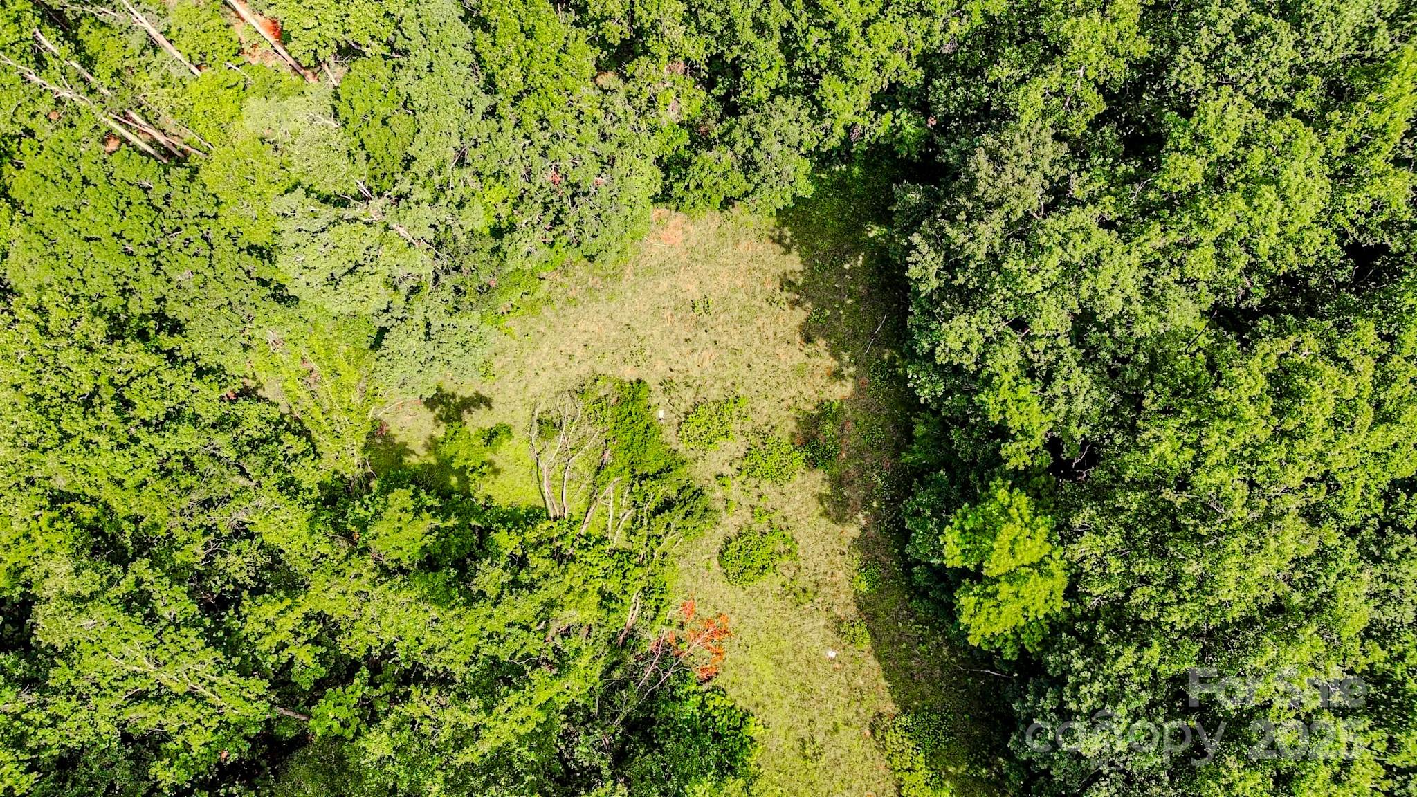 0 Cane Creek Road Union Mills, NC 28167 - Photo 23 of 25