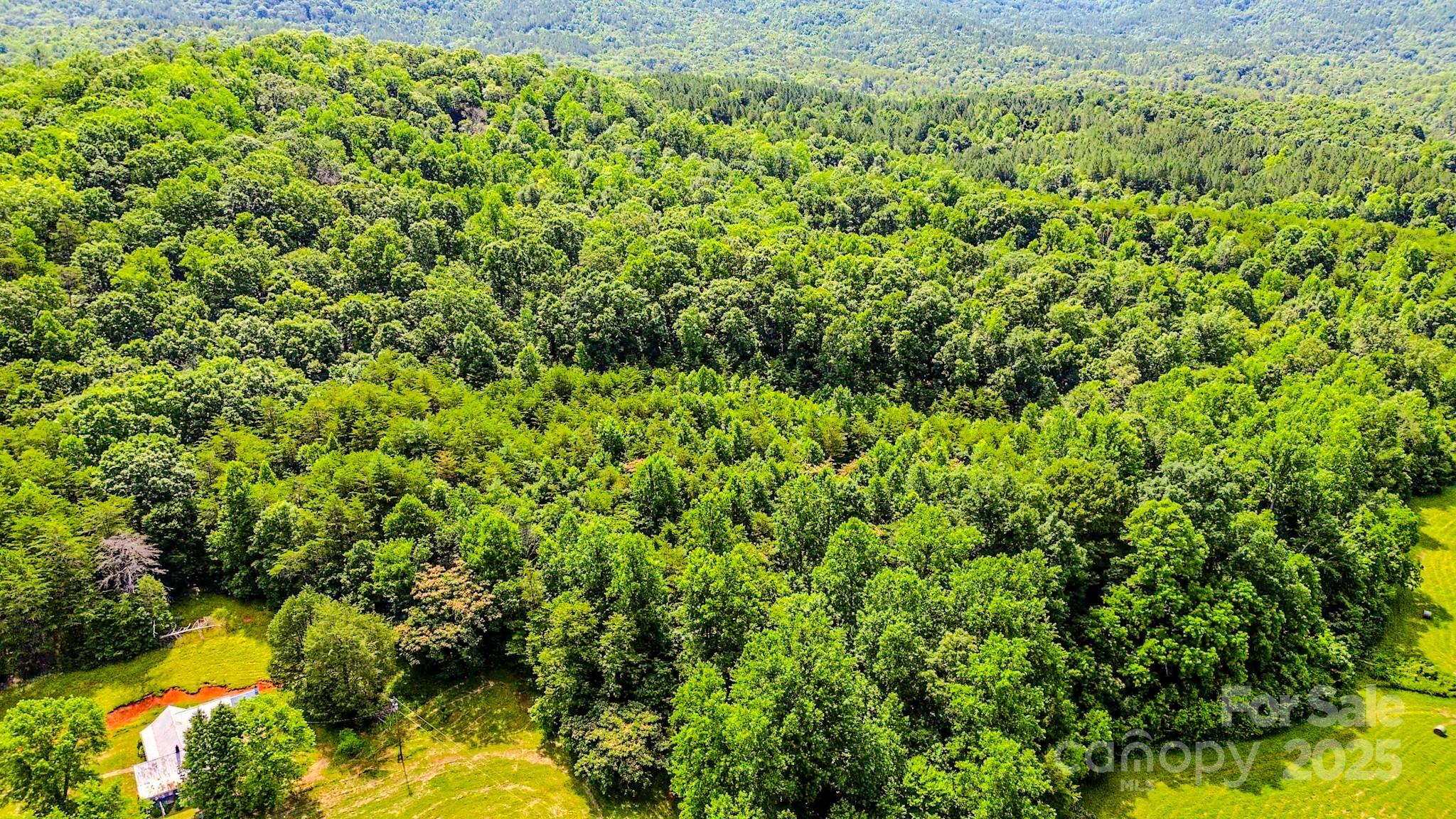 0 Cane Creek Road Union Mills, NC 28167 - Photo 25 of 25 a view of a garden