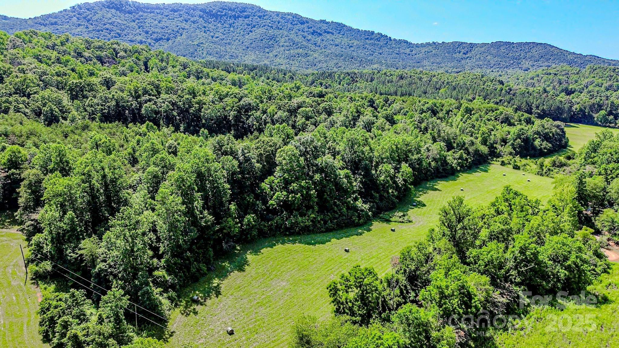 0 Cane Creek Road Union Mills, NC 28167 - Photo 7 of 25 a view of a lush green hillside and a houses