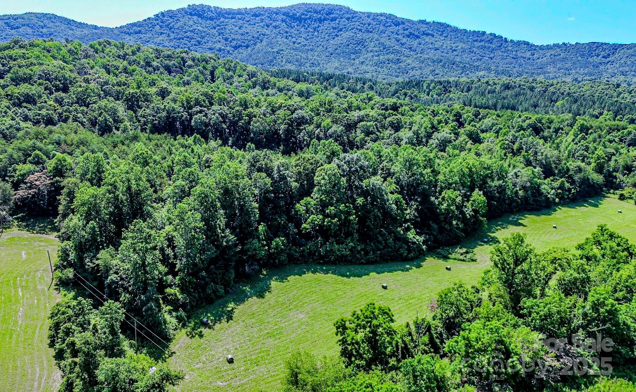 0 Cane Creek Road Union Mills, NC 28167 - Photo 8 of 25 a view of a lush green hillside and a houses