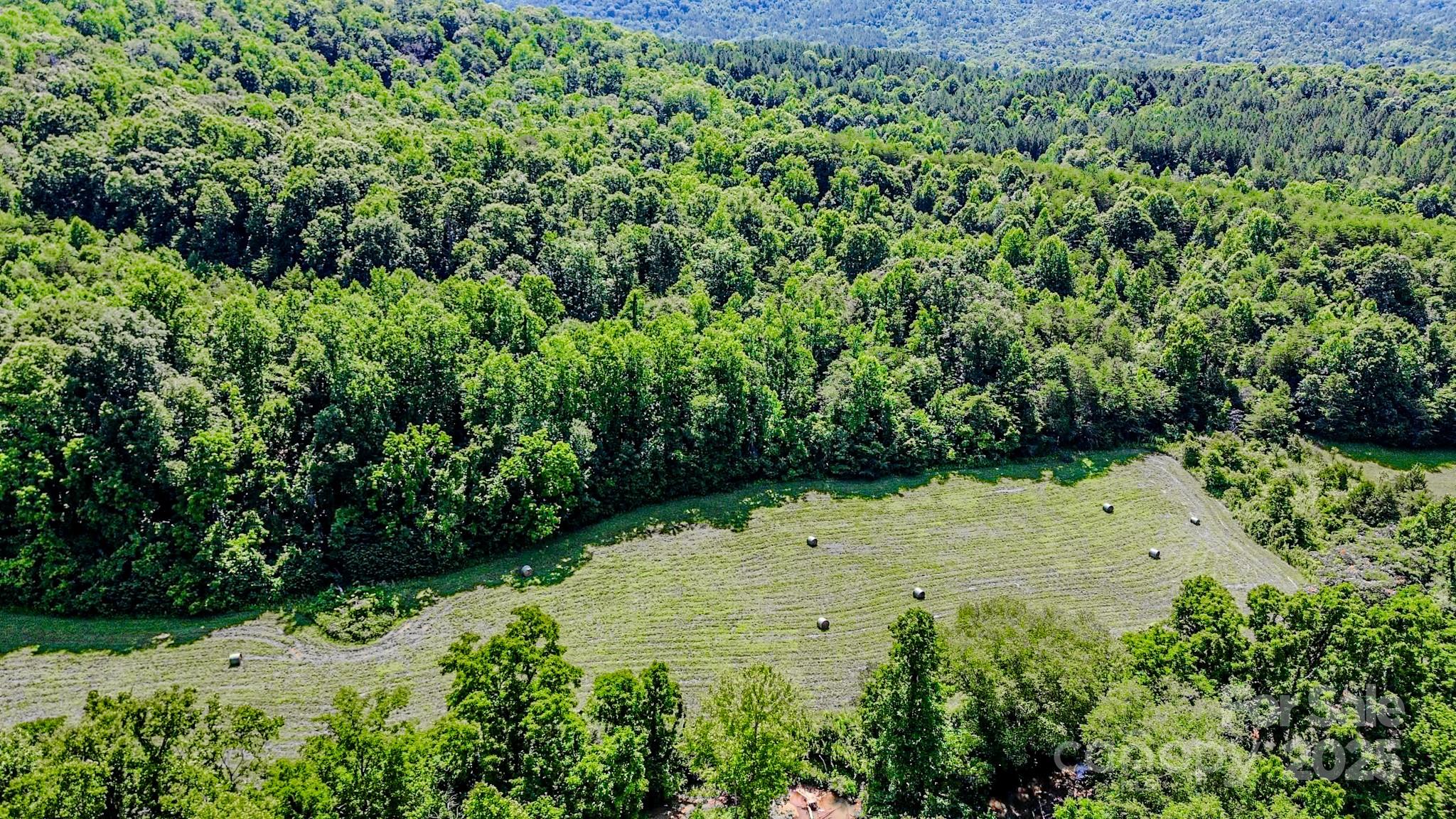 0 Cane Creek Road Union Mills, NC 28167 - Photo 9 of 25 a view of a garden with a pathway