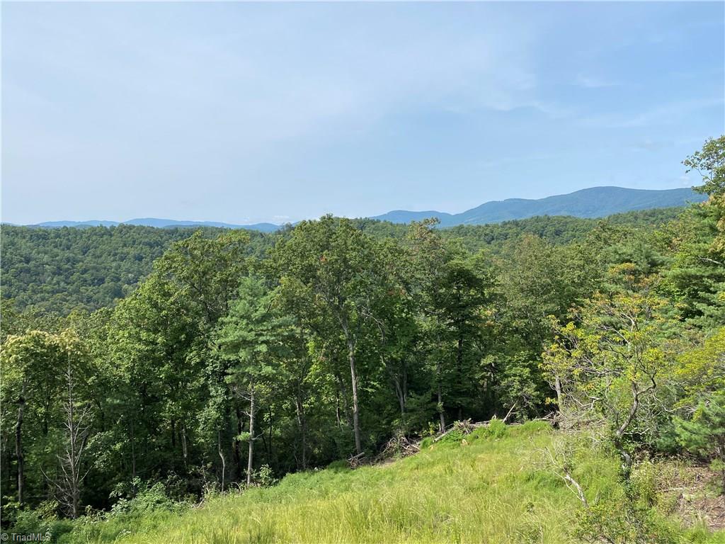 572 Casey Mountain Road Purlear, NC 28665 - Photo 21 of 22