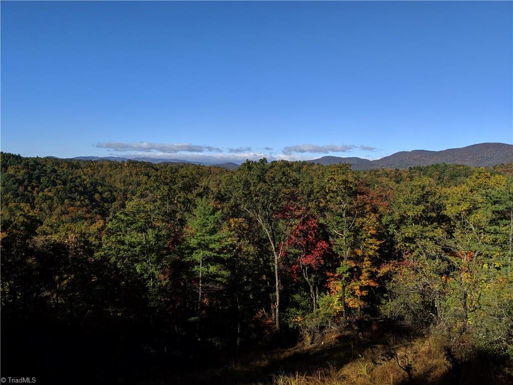 572 Casey Mountain Road Purlear, NC 28665 - Photo 22 of 22