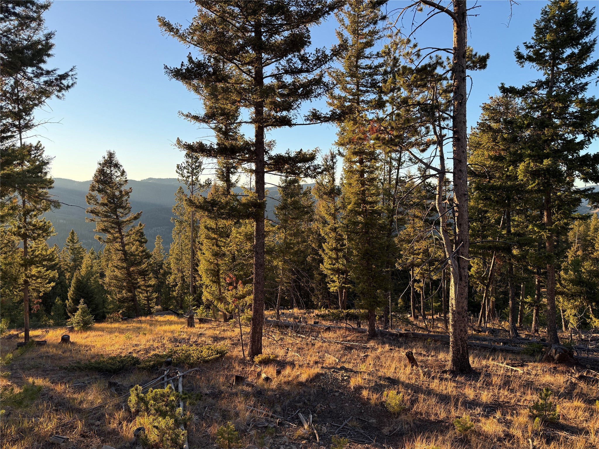 Lot 8 Ruby Street Butte, MT 59701 - Photo 26 of 34 Gallery Image 26