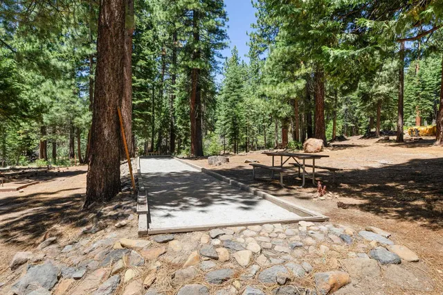 a view of a backyard with large trees