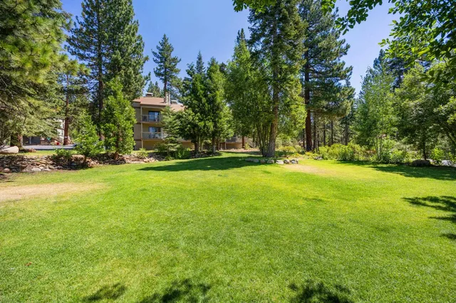 a view of a yard with of trees