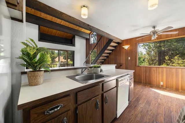 a kitchen with a sink a counter and a potted plant