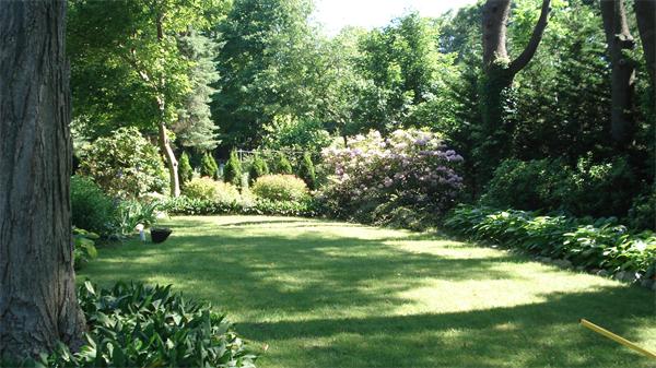 30 Ginn Road Winchester, MA 01890 - Photo 21 of 26 a view of an trees with lush green forest