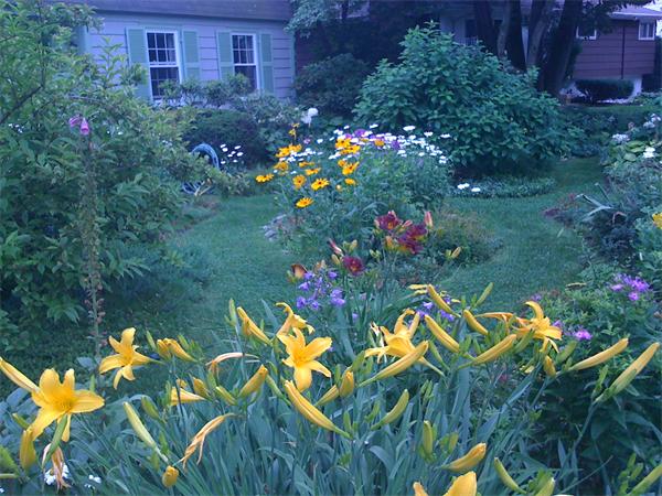 30 Ginn Road Winchester, MA 01890 - Photo 22 of 26 a view of a flower in a garden