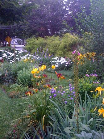 30 Ginn Road Winchester, MA 01890 - Photo 25 of 26 a view of a house with a yard