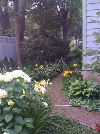 30 Ginn Road Winchester, MA 01890 - Photo 26 of 26 a view of a tree with a yard