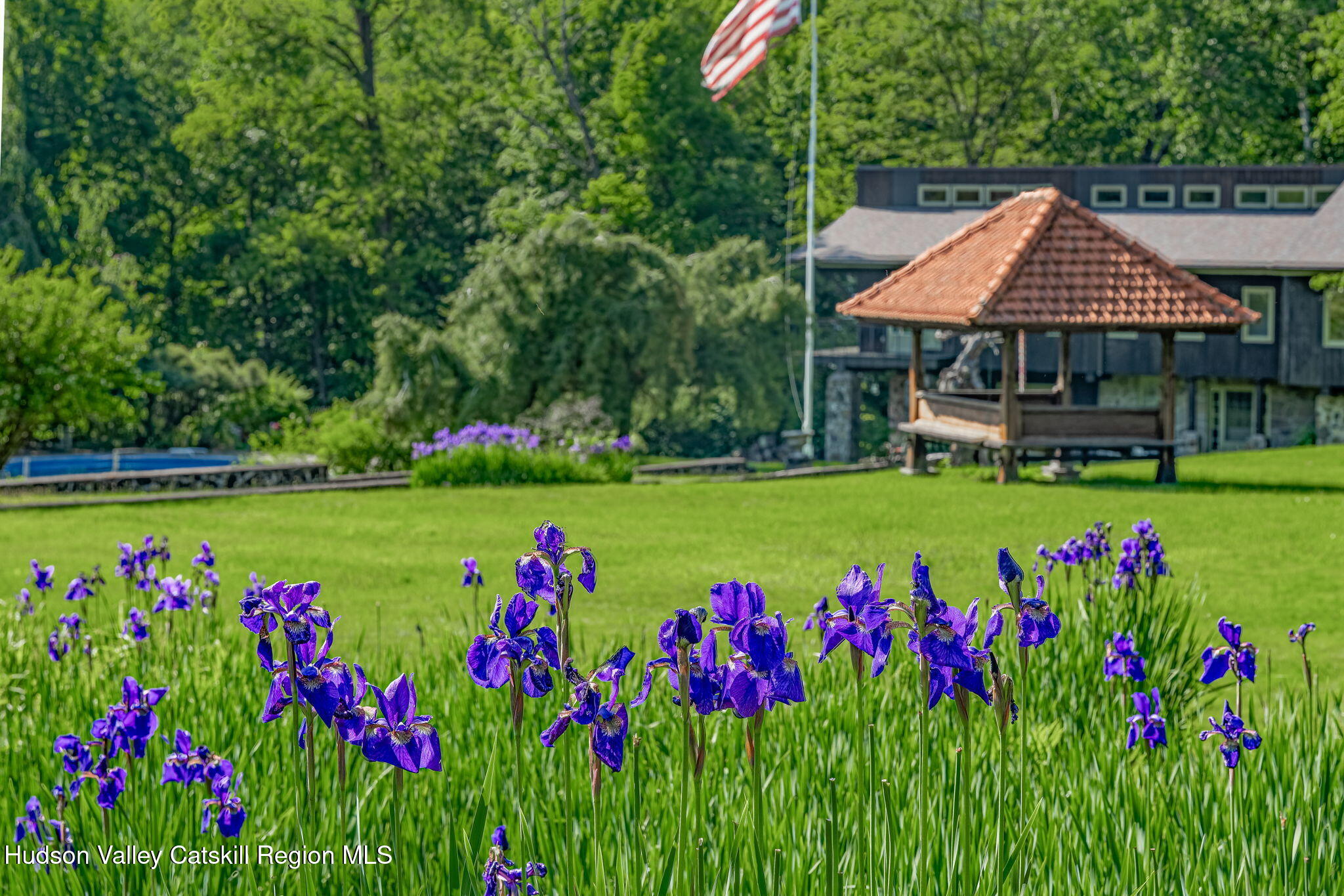 0 Wittenberg Road Mount Tremper, NY 12457 - Photo 2 of 30 From the Iris Bed