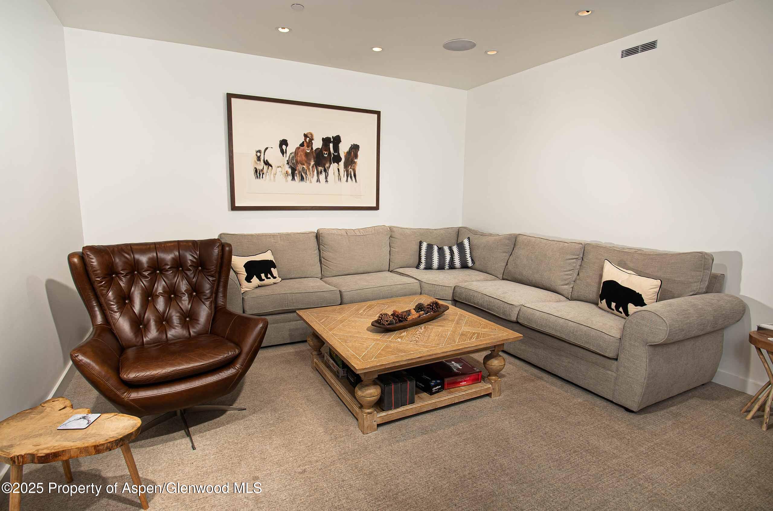 1018 East Hyman Avenue, Unit 1 Aspen, CO 81611 - Photo 25 of 28 a living room with furniture and a rug
