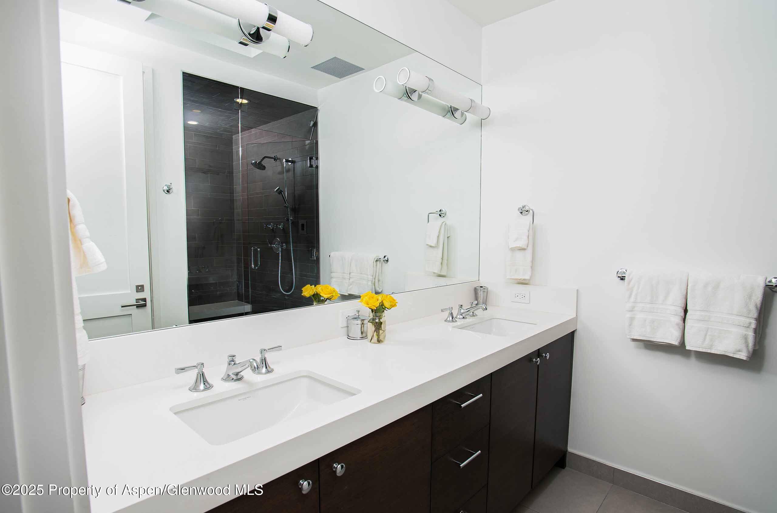 1018 East Hyman Avenue, Unit 1 Aspen, CO 81611 - Photo 8 of 28 a bathroom with a sink double vanity and a mirror