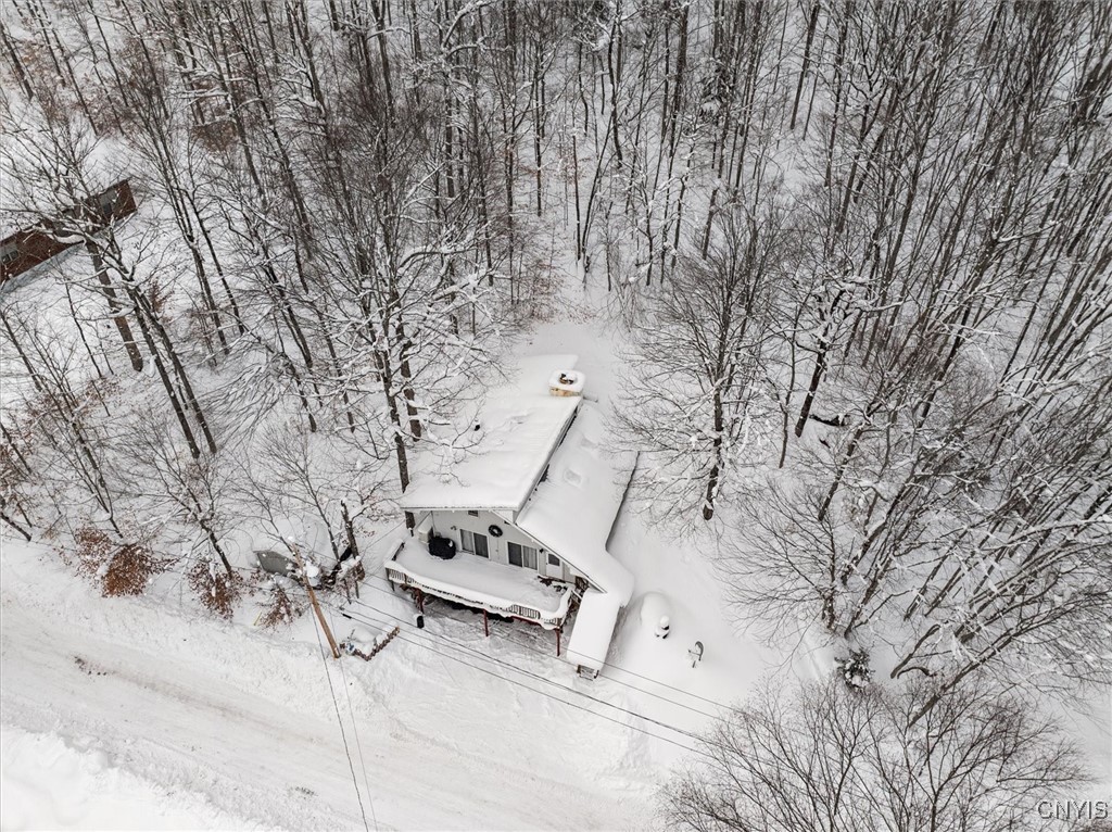 153 Cliff Road Webb, NY 13420 - Photo 3 of 27