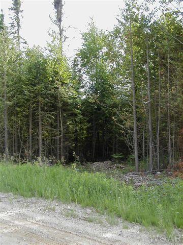 7 County Rd 415 McMillan, MI 49853 - Photo 1 of 1 Primary Photo