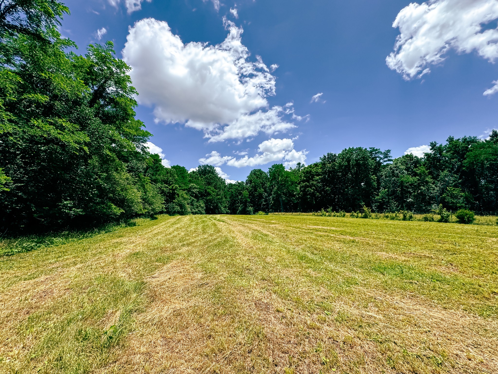 7447 Greer Road Goodlettsville, TN 37072 - Photo 10 of 18