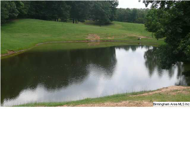 930 Lazy Y Road Hayden, AL 35079 - Photo 25 of 31 Gallery Image 25