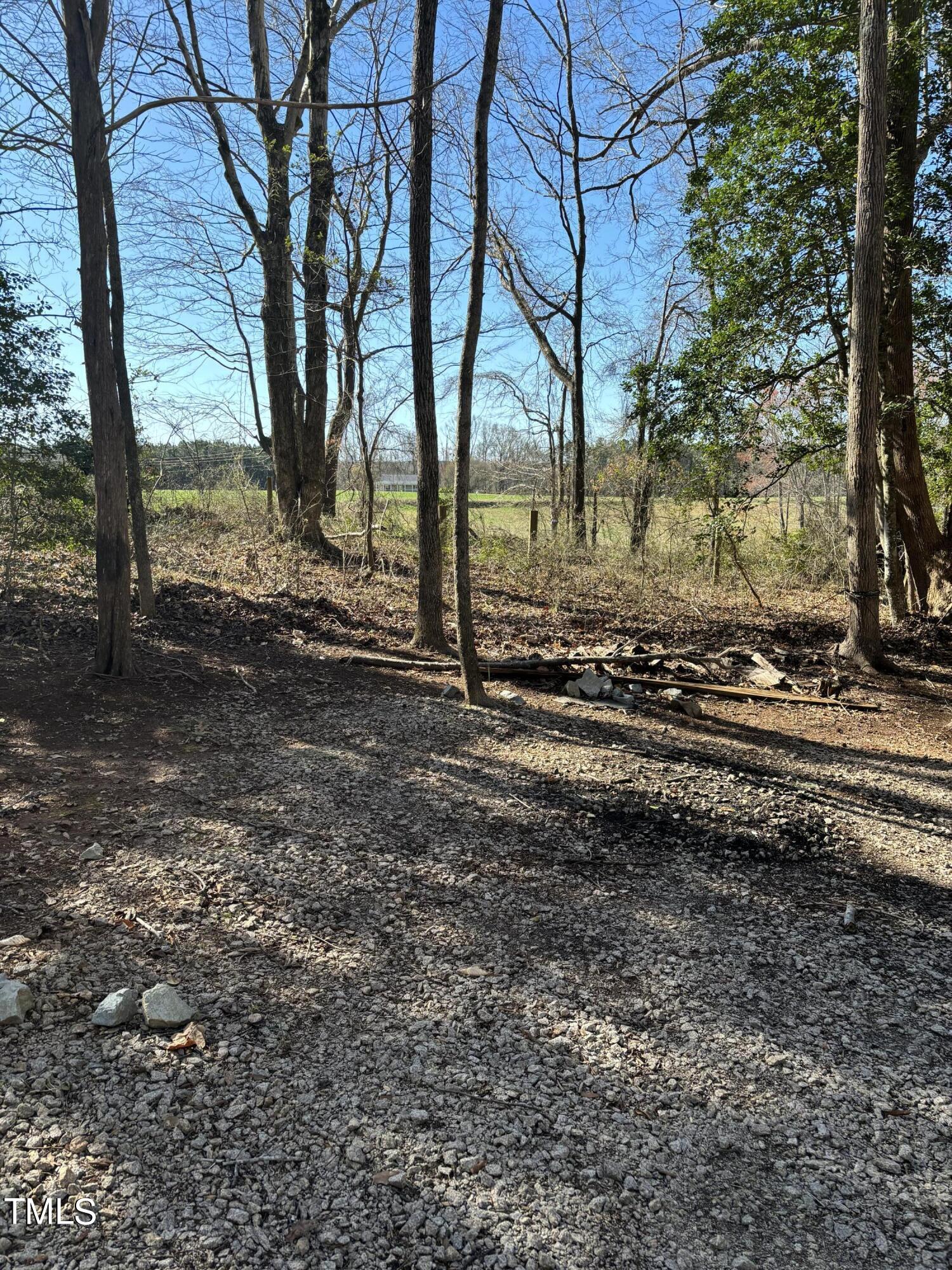 239 Vega Loop Spring Hope, NC 27882 - Photo 16 of 41 IMG_0053
