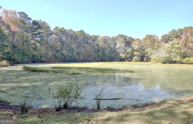 $619,000 | 145 Holly Hill Road, Fayetteville, GA 30214