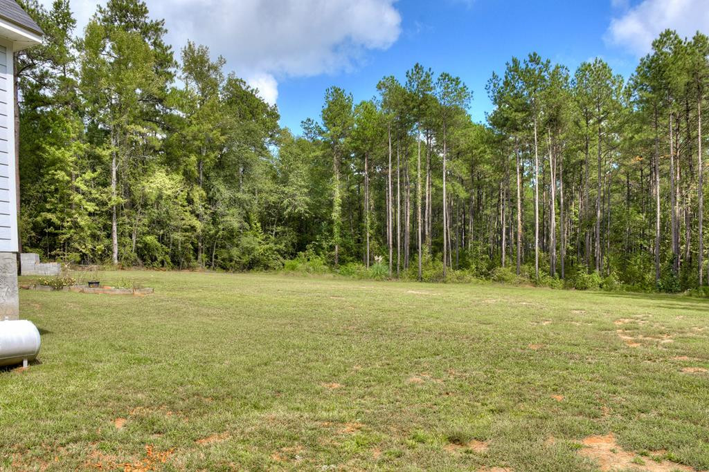 1419 Clary Cut Road Harlem, GA 30814 - Photo 45 of 50