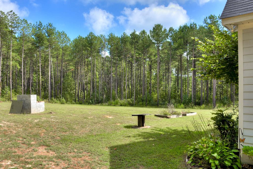 1419 Clary Cut Road Harlem, GA 30814 - Photo 46 of 50