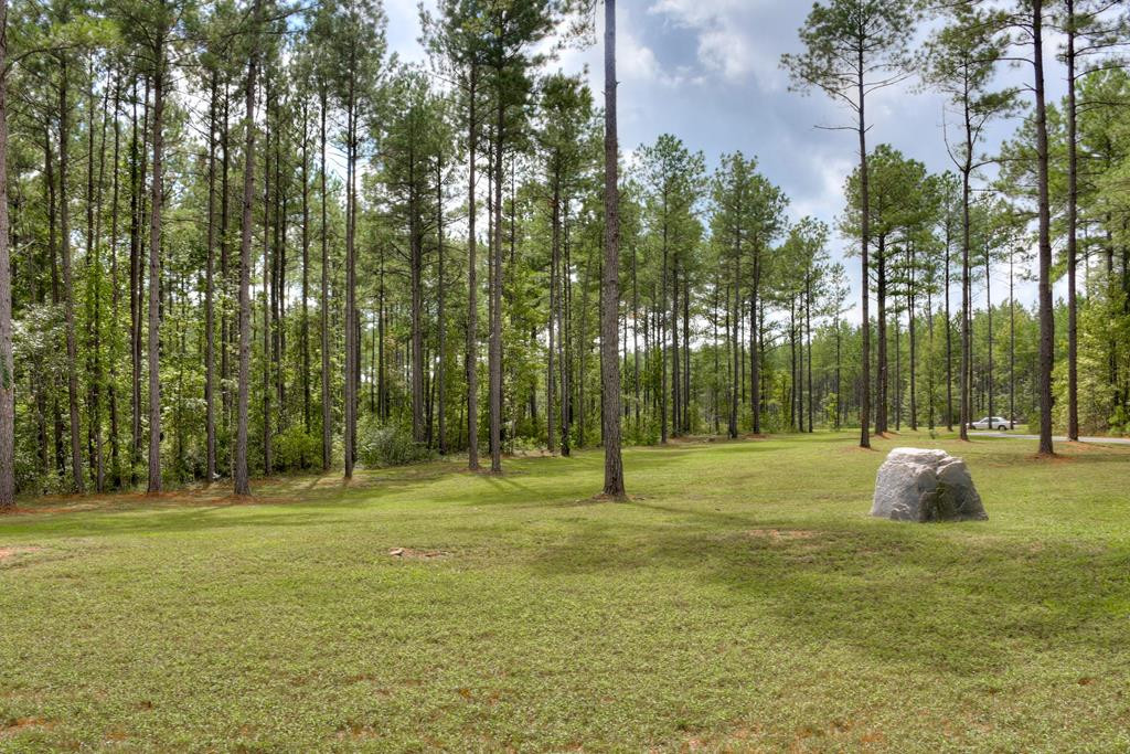 1419 Clary Cut Road Harlem, GA 30814 - Photo 49 of 50
