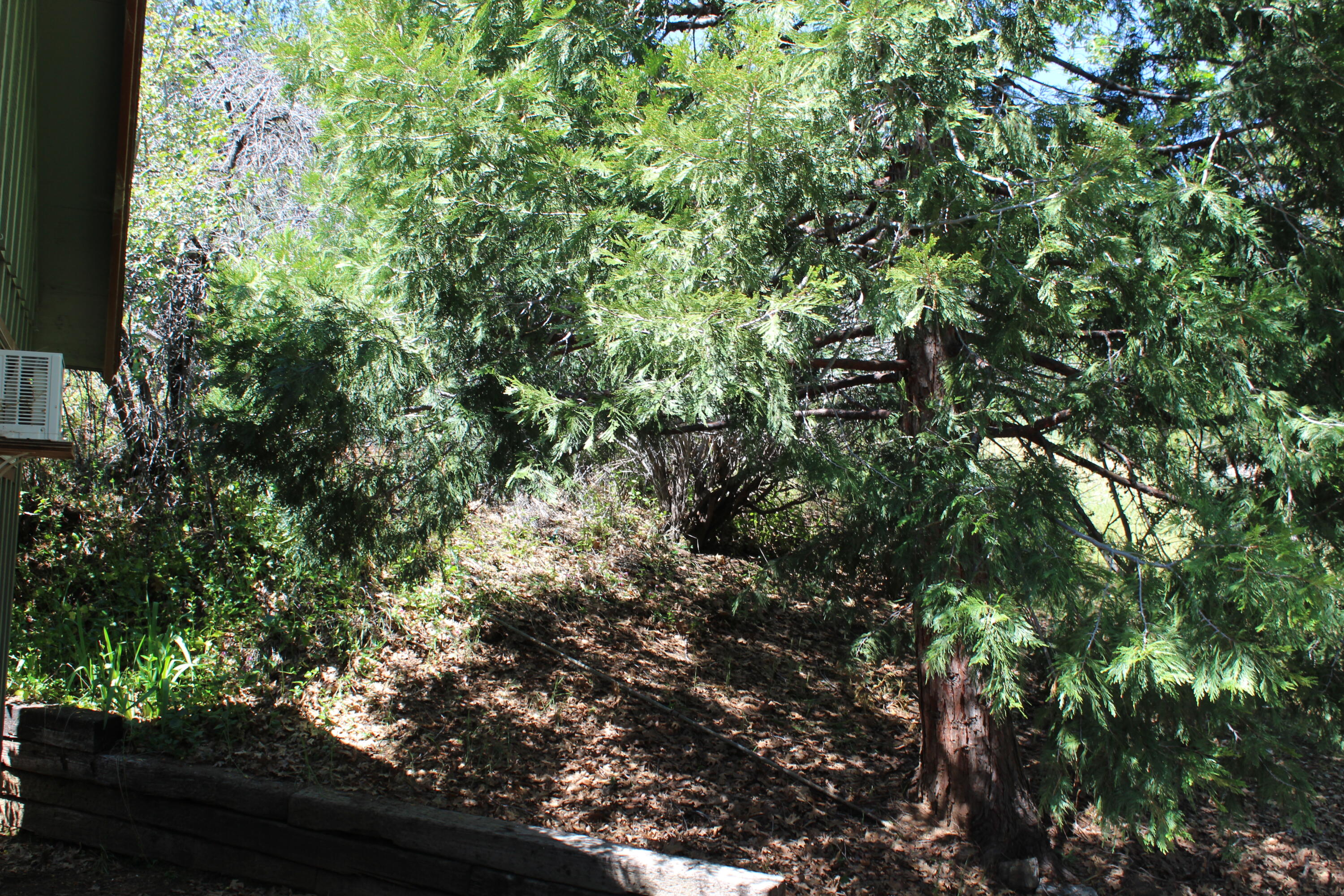 427 Sutherland Drive Springville, CA 93265 - Photo 34 of 55 IMG_9271