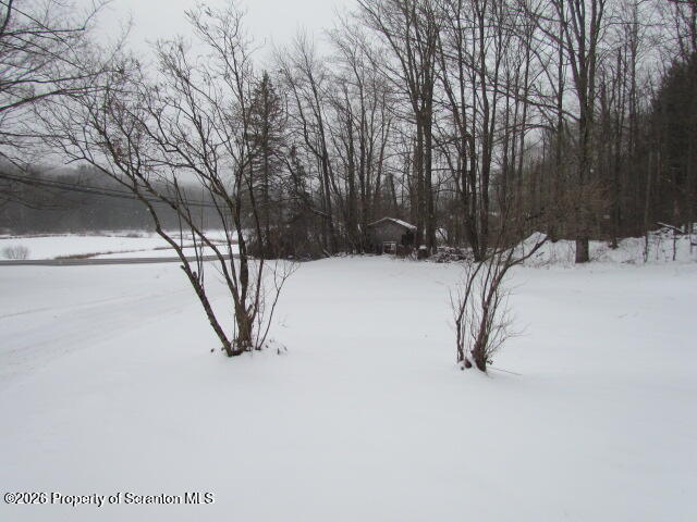691 Madisonville Road Moscow, PA 18444 - Photo 27 of 33 a view of a backyard of the house