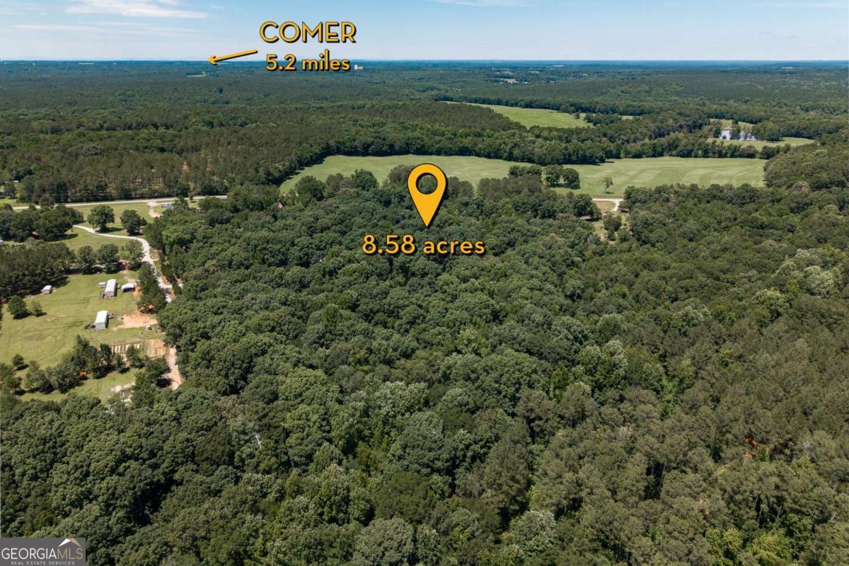 436 Watson Mill Comer, GA 30629 - Photo 5 of 10