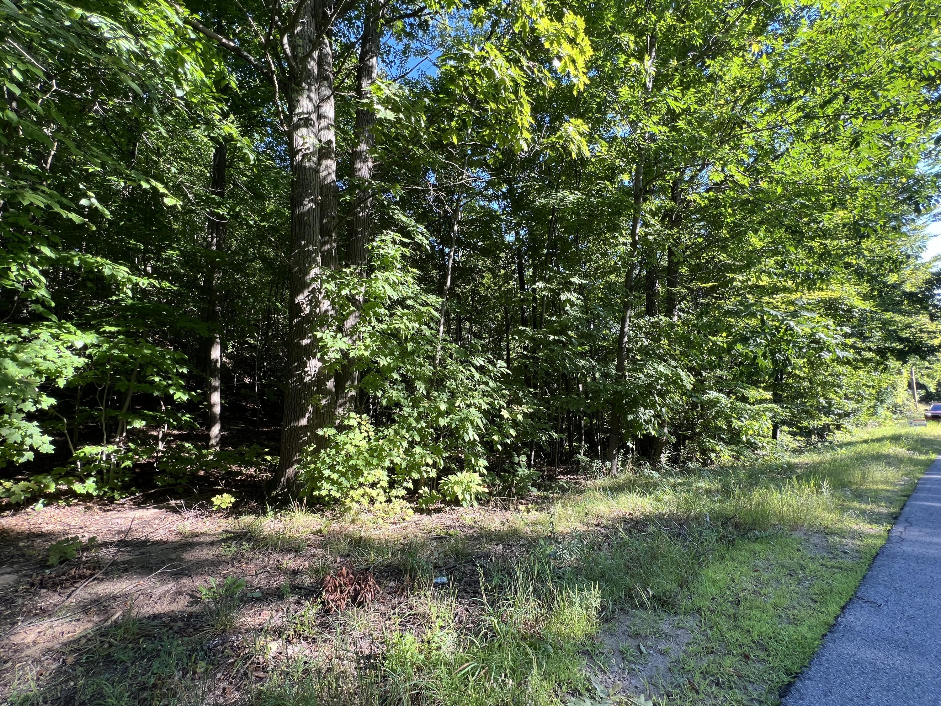 0 Jersey Swamp Road Morrisonville, NY 12962 - Photo 6 of 6 IMG_0683