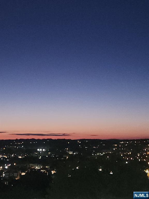 2 Crystal Lane, Unit 294 Paterson, NJ 07501 - Photo 26 of 30 a view of city from sunset