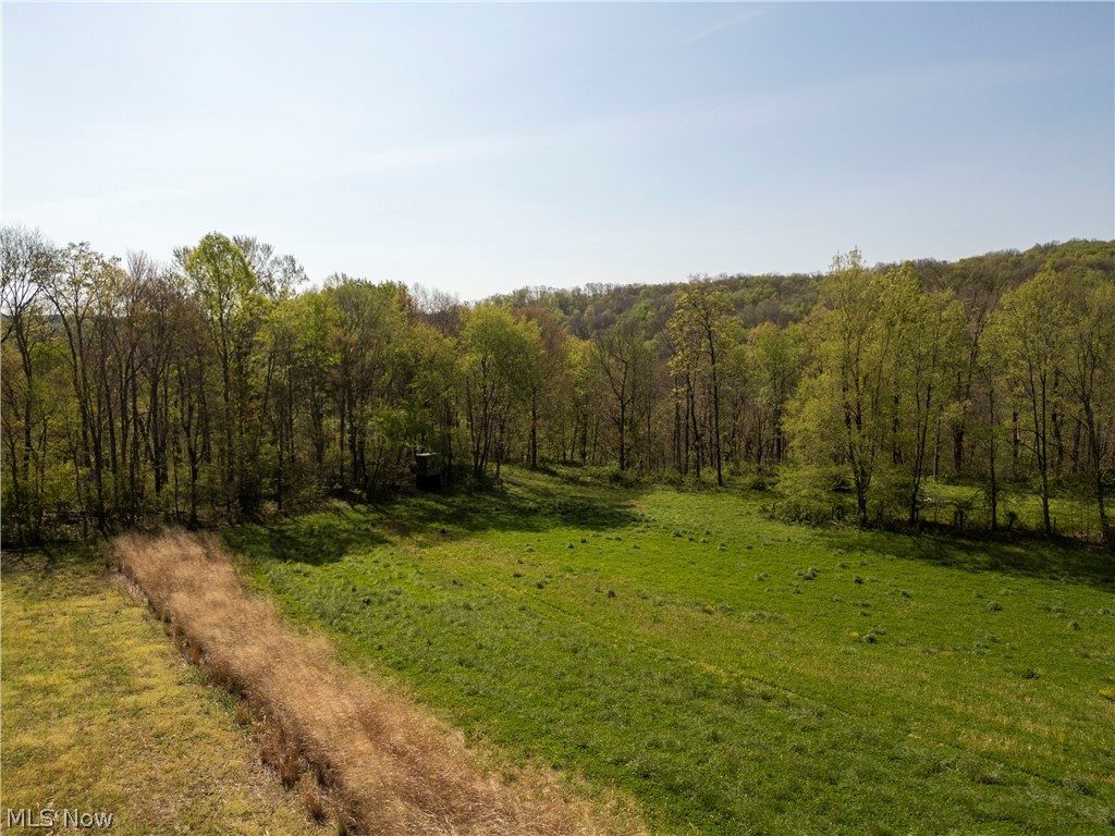 80960 Burkhart Road Tippecanoe, OH 44699 - Photo 28 of 50