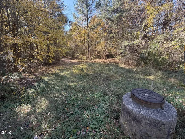 a view of a yard with trees