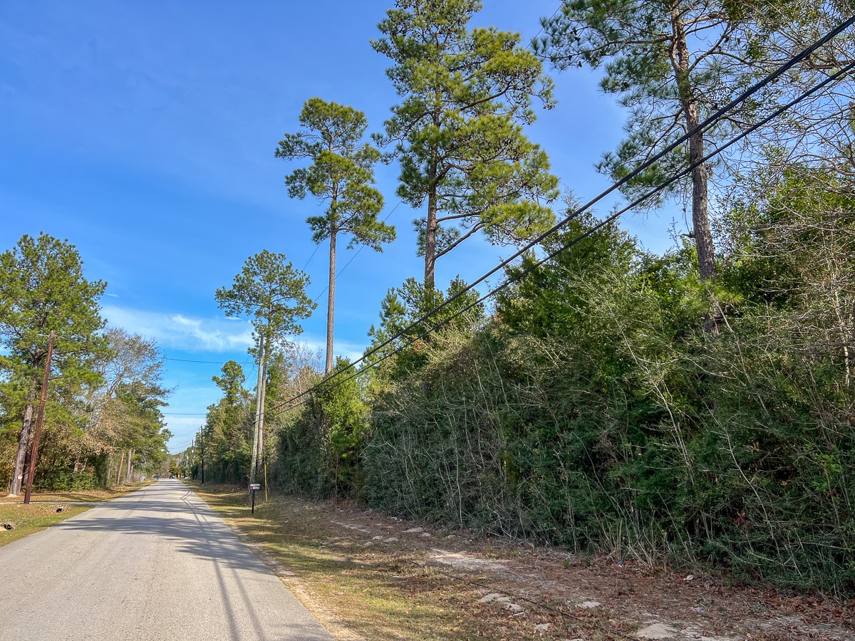 T-1 Lakeview Road Vidor, TX 77662 - Photo 3 of 18 a view of a yard with a tree