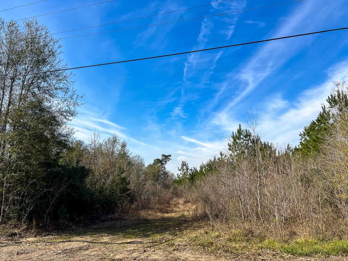 T-1 Lakeview Road Vidor, TX 77662 - Photo 7 of 18 a view of a yard
