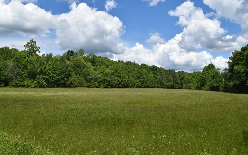 3270 Maple Grove Road Morganton, GA 30560 - Photo 1 of 17 Main View